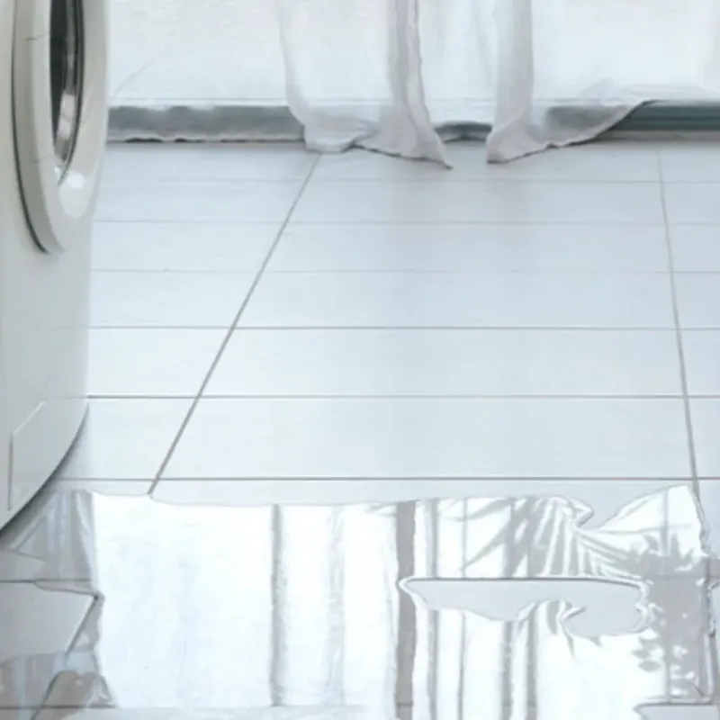 Appliance Leak Cleanup in Henry County, GA