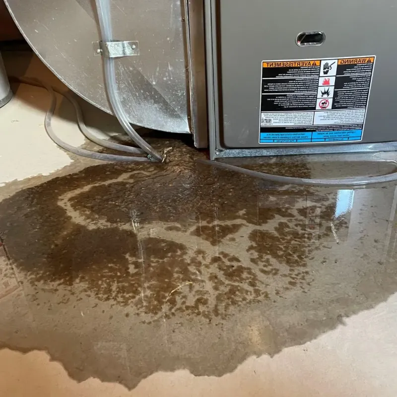 Pipe Burst and Leak Restoration in Henry County, GA