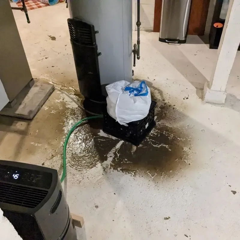 Sewage Backup Cleanup Service in Henry County, GA